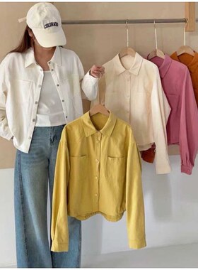 【大表哥专享】ZW17106