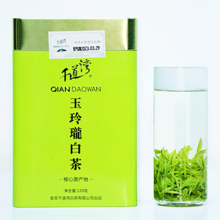 千道湾玉玲珑安吉白茶 新茶2024安吉白茶正宗高山绿茶特级120g罐