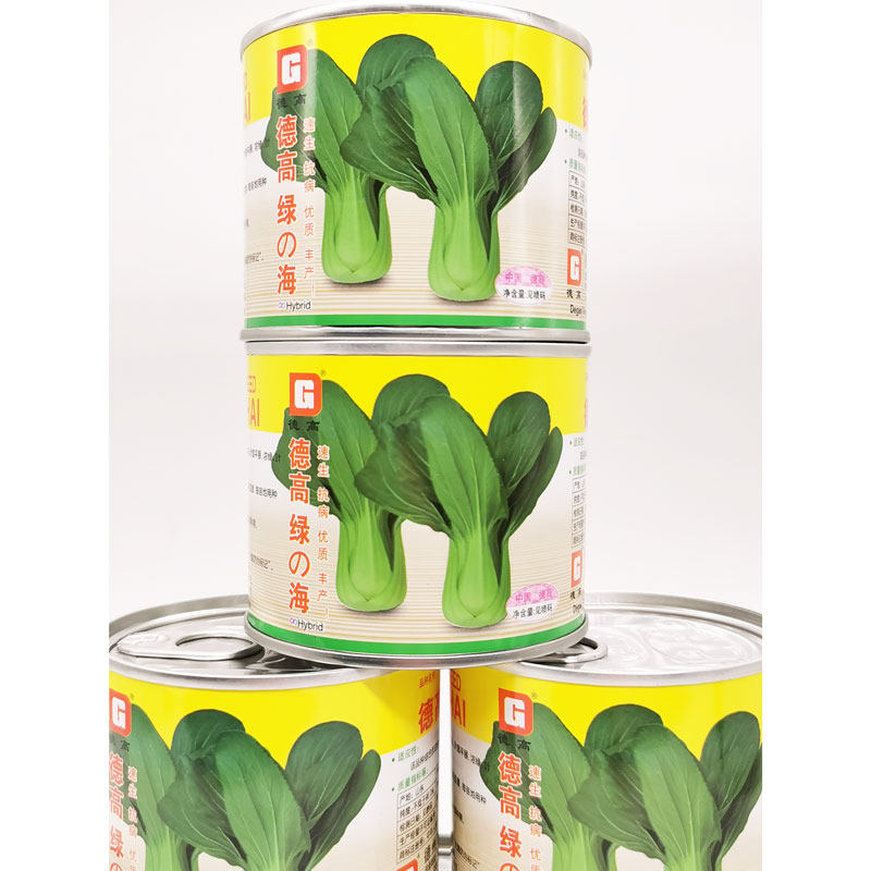 德高绿海青梗菜青菜种籽高产四季蔬菜种子/种苗