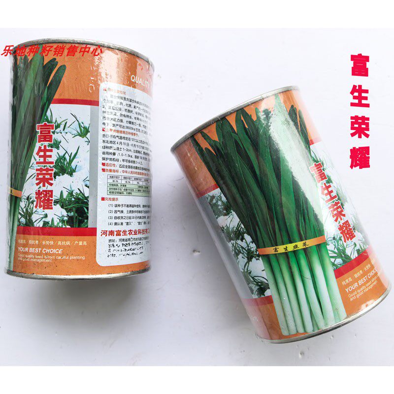 富生荣耀雪韭种子高产耐寒不休眠