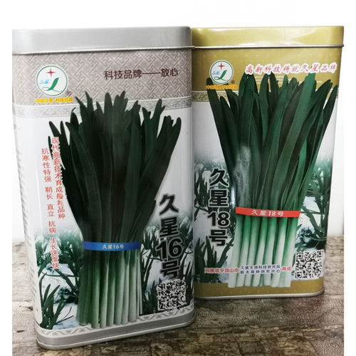 久星16号18号韭菜种籽高产抗病春秋播深绿宽叶不休眠韭菜籽
