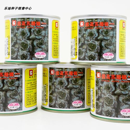德高苏珊娜苏州青种籽油亮耐寒