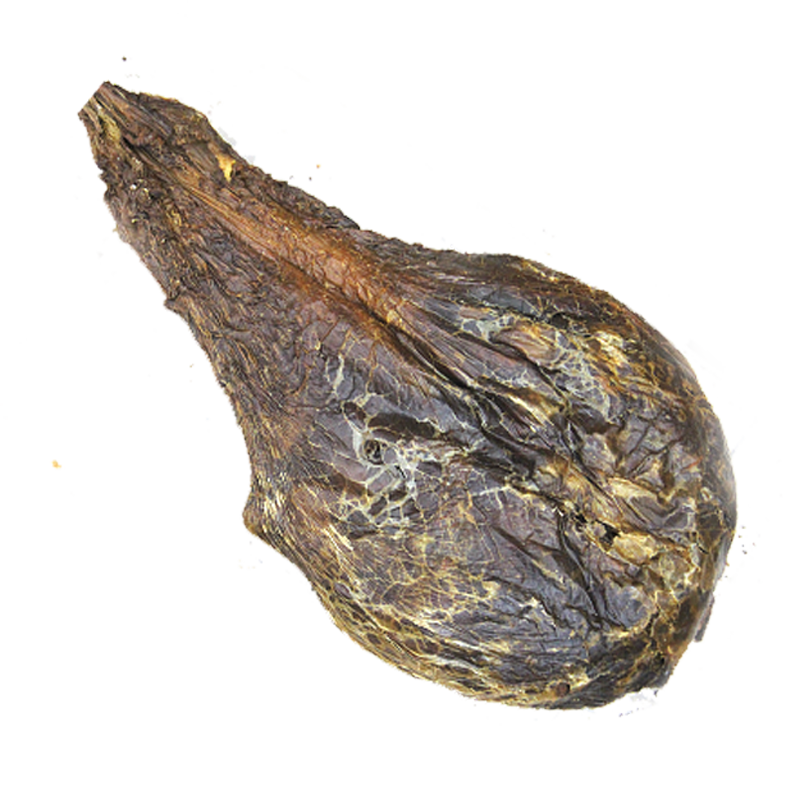 梅花鹿鹿胎纯正鹿血胎免费打