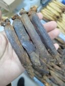 长白山黑高丽参无糖南韩别直参红参九蒸九晒吉林野山参东北人参