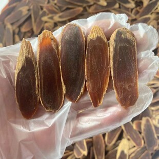 太极参柳叶片长白山人参东洋参切片高丽参别直参足干无糖红参