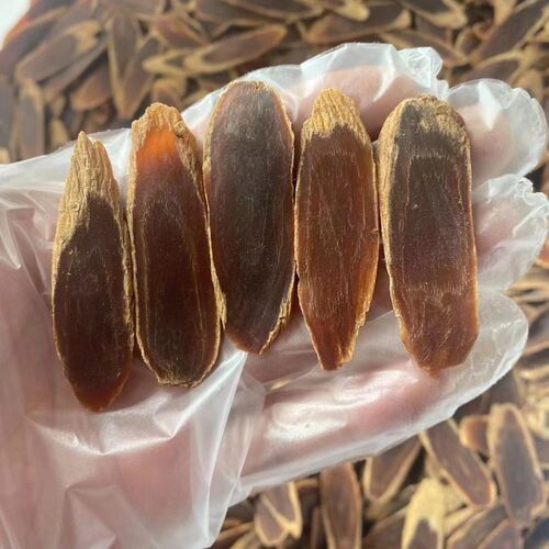 恒泰正源太极参白皮红心足干大片