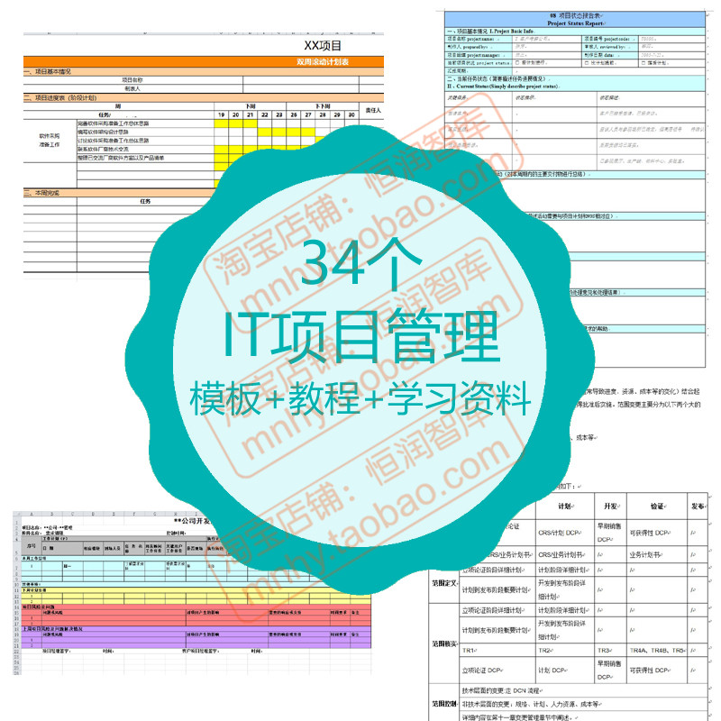 IT项目管理模板软件制度计划表规范规章流程ERP实施一页纸研发-封面