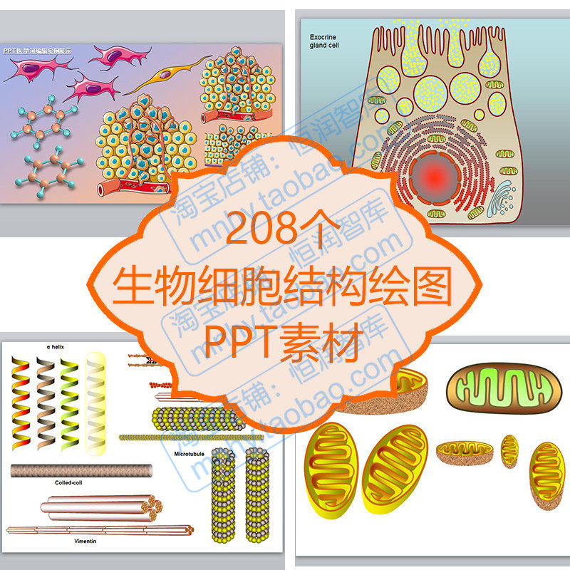 生物细胞学结构绘图ppt素材dna蛋白质rna器官组织学解剖寄生虫学
