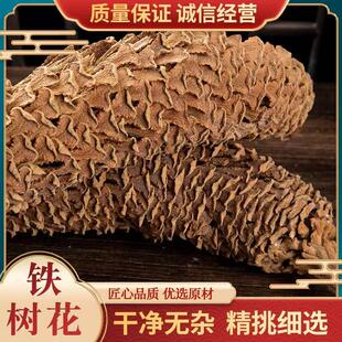中药材铁树花铁树叶铁树雄花雌花铁树果500克