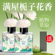 栀子花香薰家用室内持久高级卧室房间香水厕所卫生间熏香精油香氛