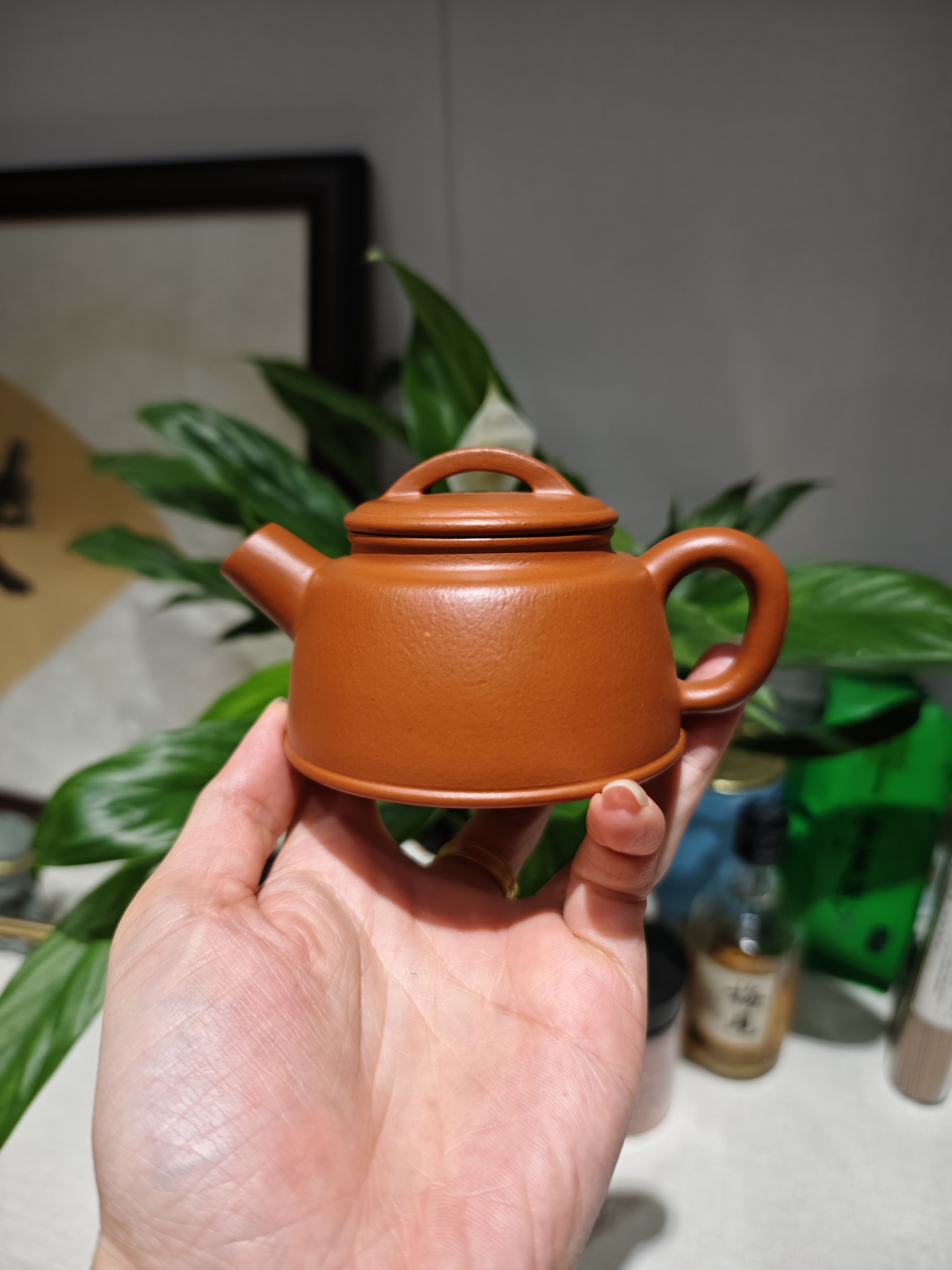 小品鱼罩壶容量110cc赵庄朱泥壶冯常琴老师全手工制作