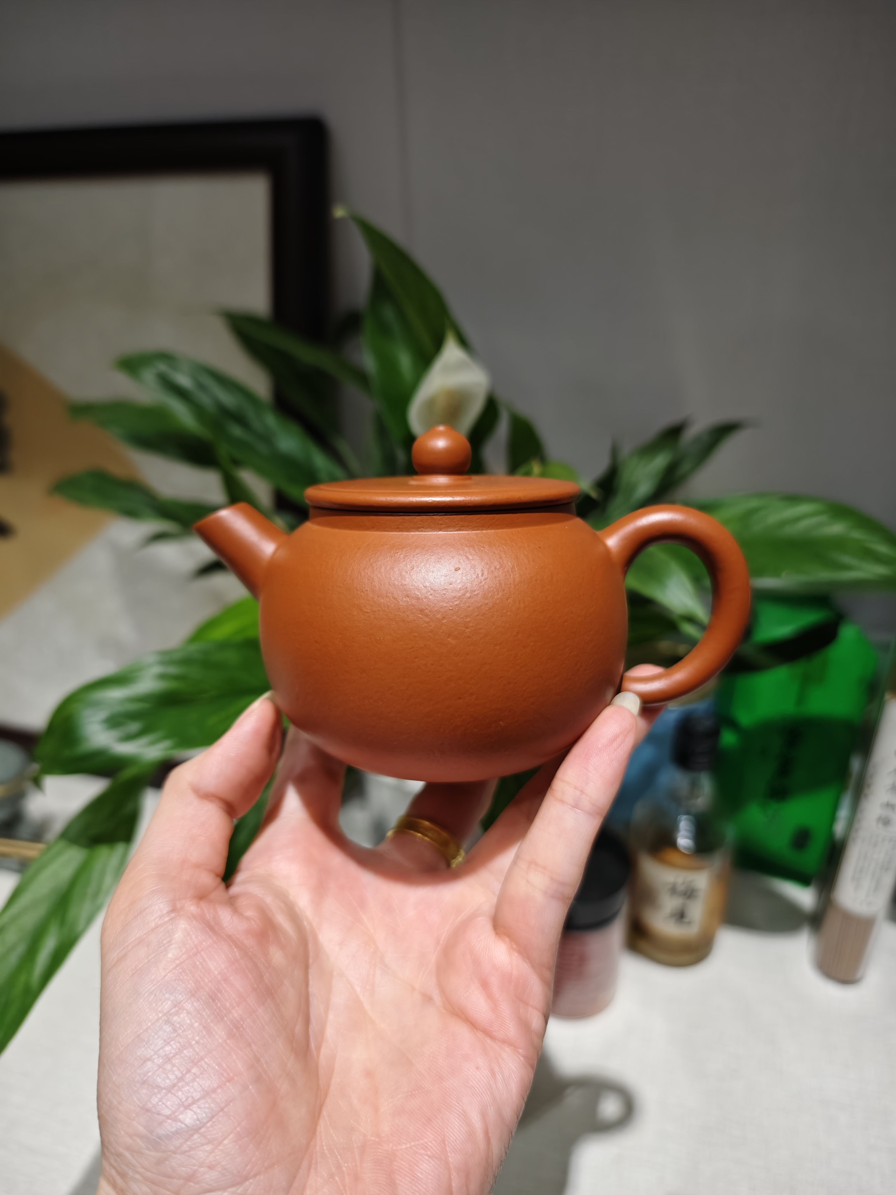 苹果壶石开停老婆冯常琴老师全手工制作容量200cc赵庄朱泥