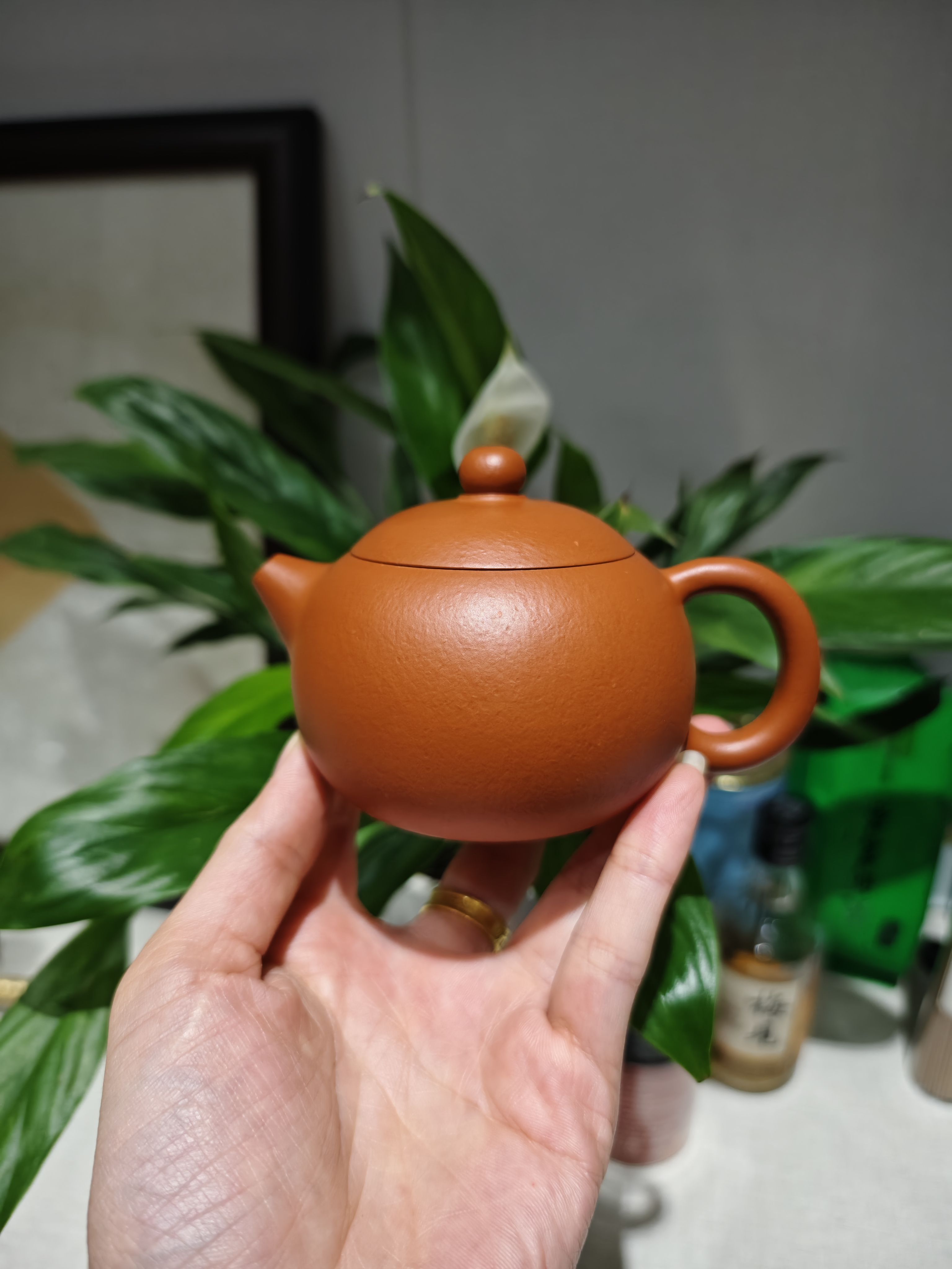 西施壶赵庄朱泥壶容量160cc冯常琴老师全手工精工宜兴紫砂