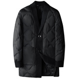 Y8825P2852024高端冬季90%白鸭绒亮面翻领羽绒服真模黑色，男装羽绒服，钱塘6016-1(原3019)