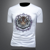 2025年新款短袖T恤钱塘3019TX3069P70，男装T恤，钱塘6016-1(原3019)