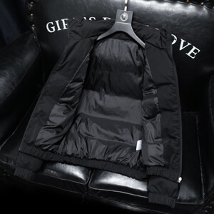 Y9869 P320 2025高端冬季90%白鸭绒连帽羽绒服  沙发 365图片