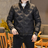 Y9813P2902025高端冬季90%白鸭绒暗花立领羽绒服真模335，男装羽绒服，钱塘6016-1(原3019)