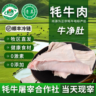 青海牦牛牛大肚清真新鲜商用火锅食材金钱肚当天现宰空运包邮
