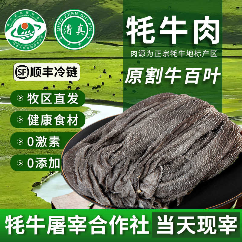 清真新鲜现杀牦牛肉毛肚商用整个毛肚火锅食材牛百叶整张黑千层肚