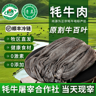 清真新鲜现杀牦牛肉毛肚商用整个毛肚火锅食材牛百叶整张黑千层肚