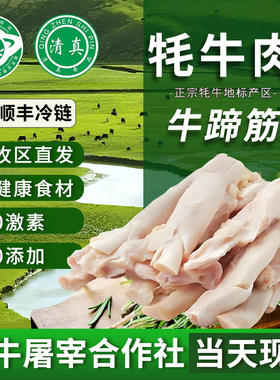 新鲜牦牛蹄筋4斤现杀牛筋牛掌筋生鲜牛脚筋牛杂商用批发顺丰包邮