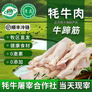 新鲜牦牛蹄筋4斤现杀牛筋牛掌筋生鲜牛脚筋牛杂商用批发顺丰包邮