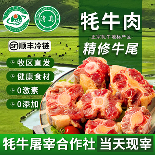 牛尾新鲜牦牛尾清真宝宝辅食2斤青海草原散养牦牛肉整根牛尾巴骨
