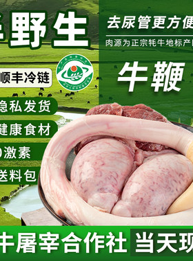 牛鞭新鲜原割全套牛蛋牛宝牛三宝整只现杀冷冻煲汤材料青海牦牛肉