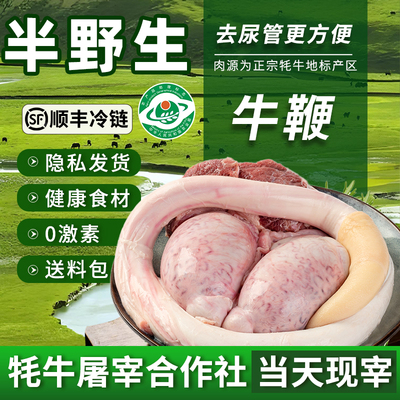 牛鞭新鲜原割全套牛蛋牛宝牛三宝整只现杀冷冻煲汤材料青海牦牛肉