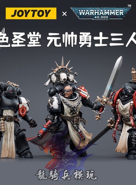 JOYTOY暗源战锤40K黑色圣堂帝皇勇士元帅剑师兄弟会可动兵人模型
