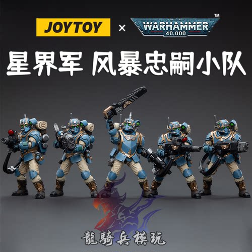 暗源战锤40K星界军风暴忠嗣小队