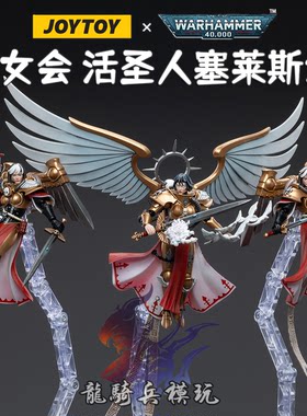 暗源战锤40K战斗修女会活圣人