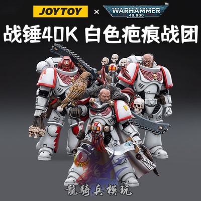 JOYTOY暗源白色疤痕白疤战团