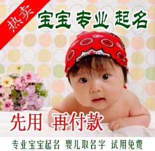 2018 正版 取名软件 起名软件 周易起名软件 更多赠品 无限期使用