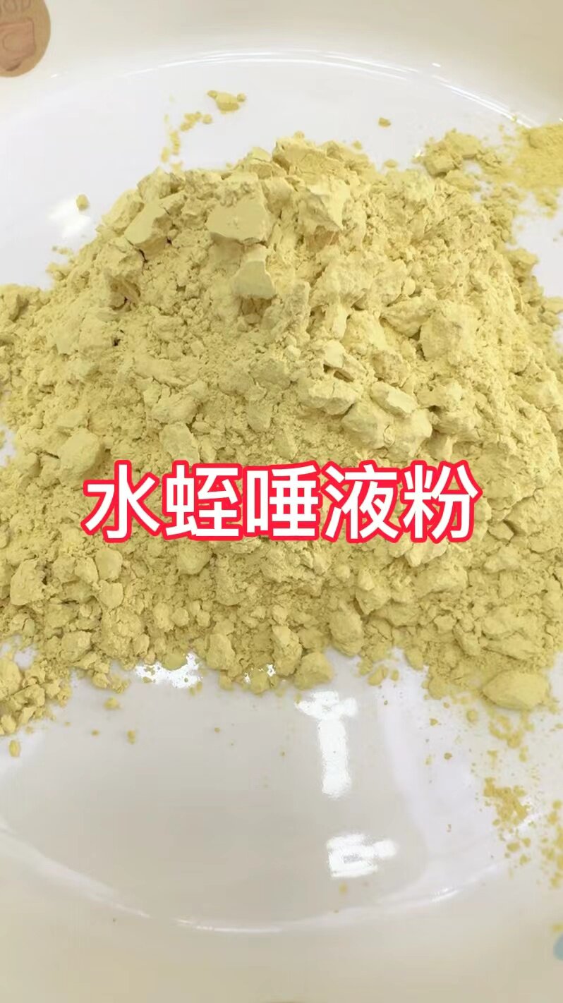 水蛭唾液粉承接大货定制天然日本医蛭正品菲牛蛭冻干粉提取多肽物