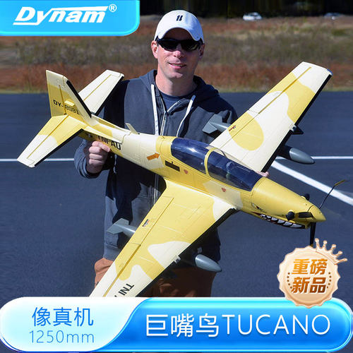 Dynam迪乐美巨嘴鸟固定翼