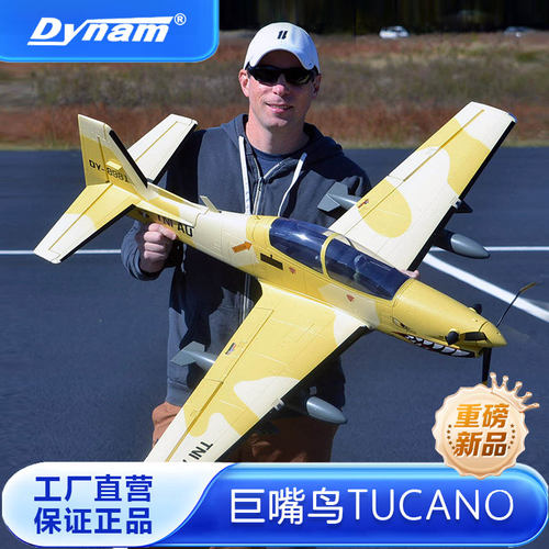 Dynam迪乐美巨嘴鸟固定翼