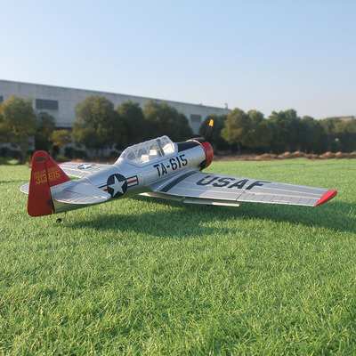 专业易控像真机遥控飞机RC模型