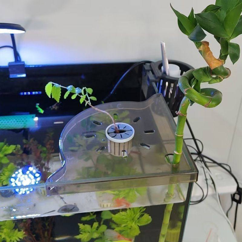 免打孔收纳架茶色水培绿植托盘鱼缸顶部造景支架透明白色绿植支架,收纳整理,整理架/置物架/收纳架,淘宝优惠券,粉丝福利购,淘宝优惠卷