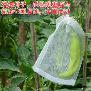 防鸟袋透气水稻瓜防虫袋网兜催芽火龙果束口袋纱网袋多功能浸种袋
