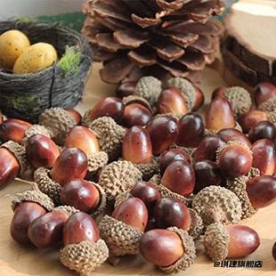 拍照道具模型摄影进口2025年模玩松果干果果实拍摄橡果橡子