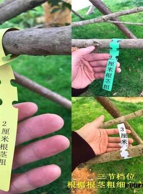 环套标签果树标记牌园艺花卉吊牌