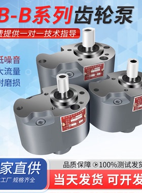 CB-B2.5/B4/B6/B10/B16/B20/B25/B32/40/63/50/100/125F齿轮泵TH