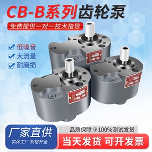 100 B16 B2.5 B25 B10 B20 B32 125F齿轮泵TH