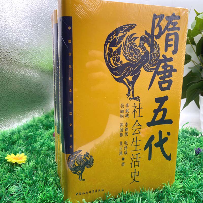 正版现货 中国古代社会生活史书系(套装共5册)辽宋西夏金  隋唐五代