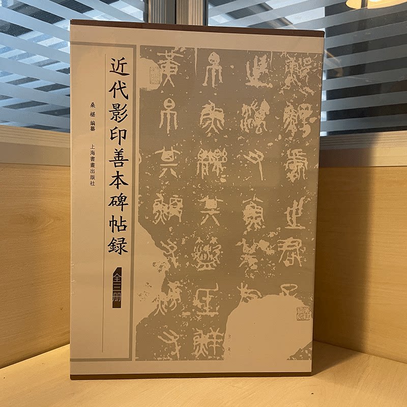 正版新书 近代影印善本碑帖录 桑椹 著 上海书画出版社 9787547927694