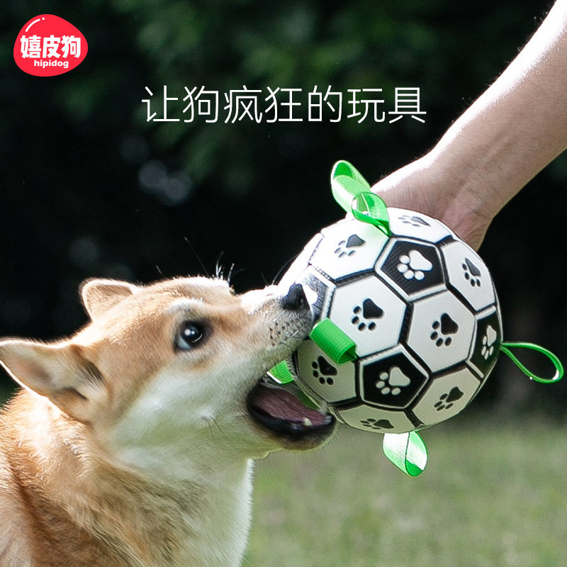 狗狗训练互动足球玩具边牧柯基橡图片