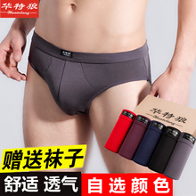 男士内裤男三角裤莫代尔纯棉青年冰丝透气中腰底裤衩低腰夏季薄款