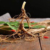 19.9元 2支新鲜东北长白山林下参籽参高龄足年吉林新鲜野人参