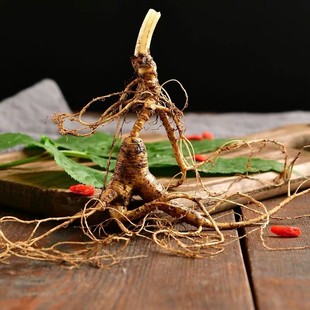 19.9元 2支新鲜东北长白山林下参籽参高龄足年吉林新鲜野人参